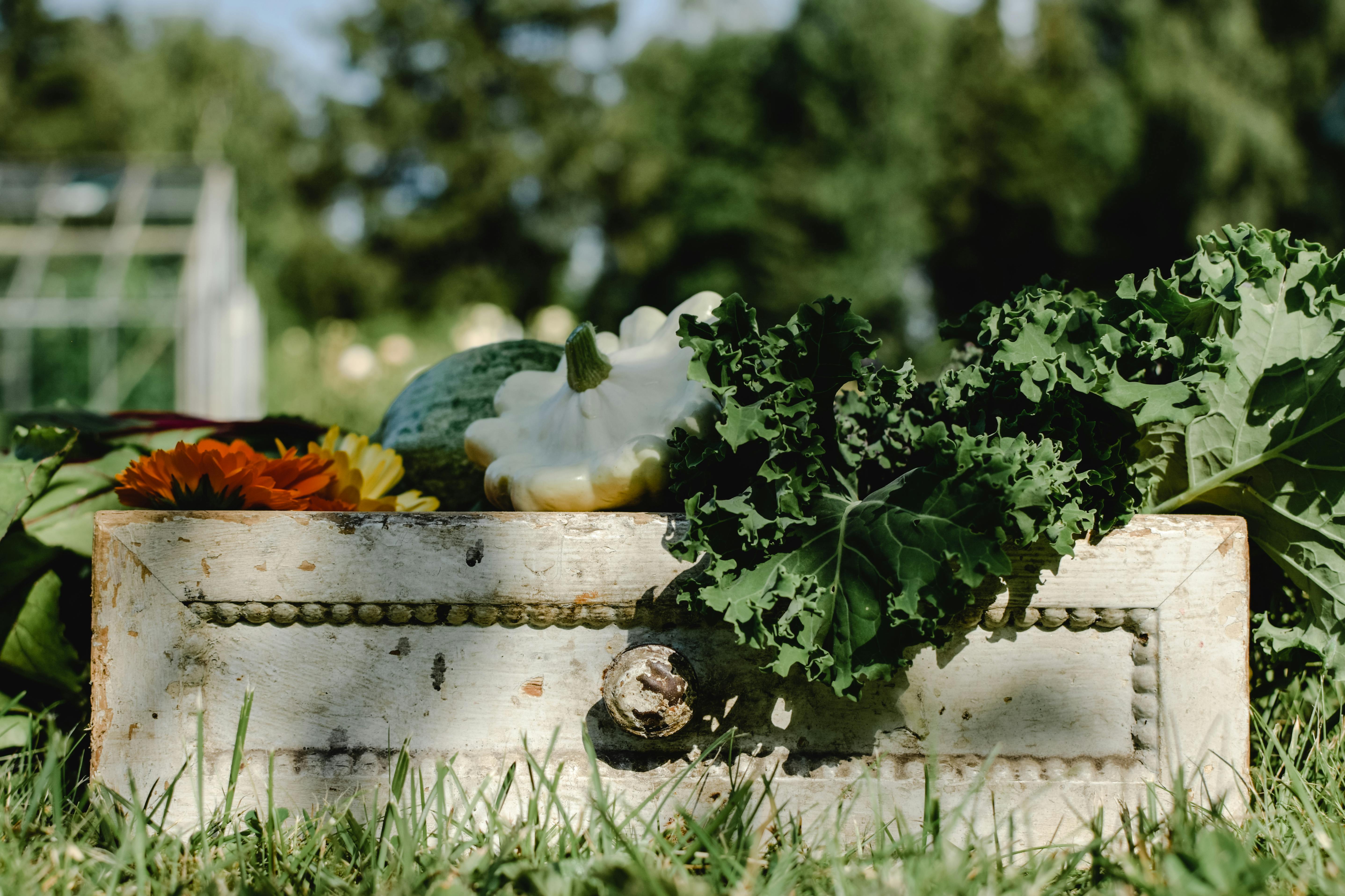 The Garden that Feeds Me: A Latina's Guide to Organic Backyard Growing