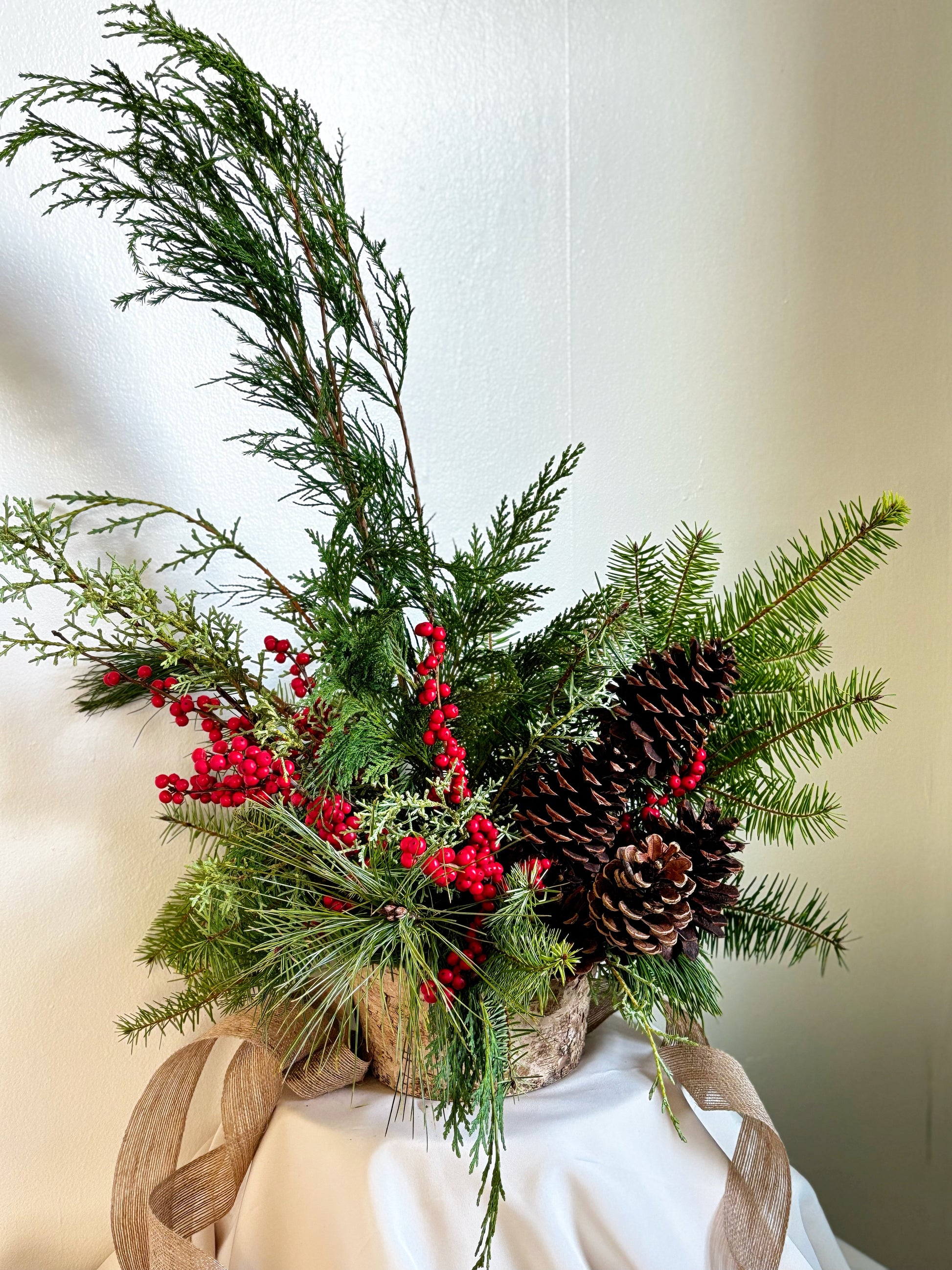 The Holiday Birchwood