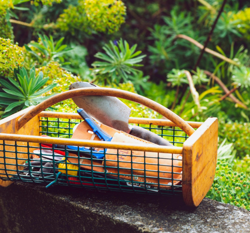 The Garden Mentorship Session