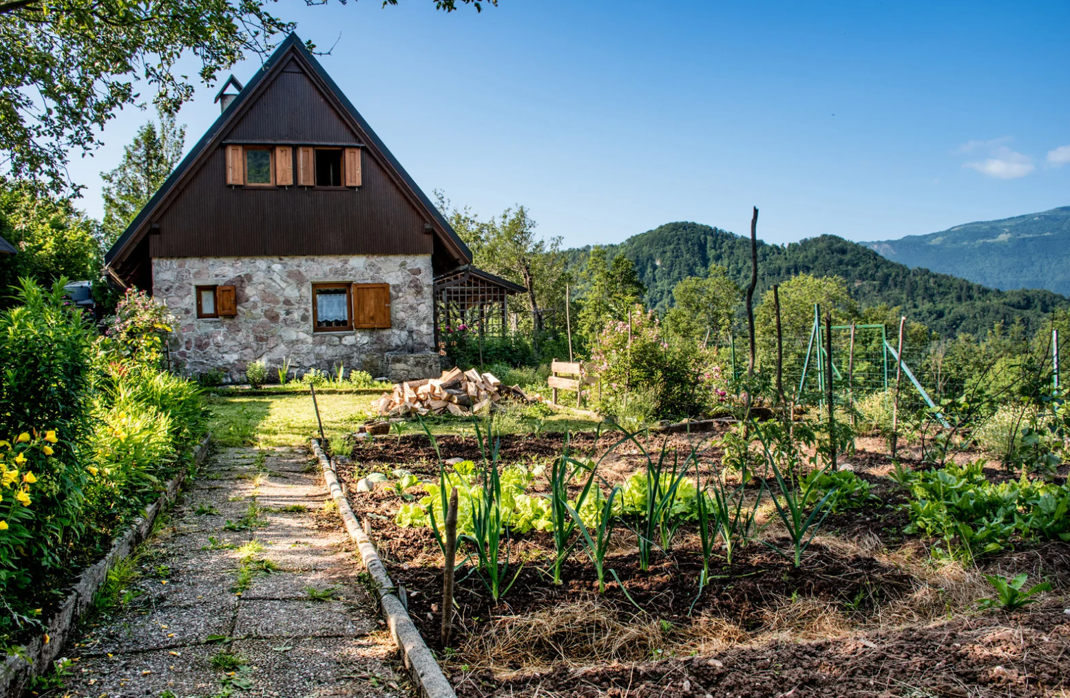 The Food Garden Planning Guide