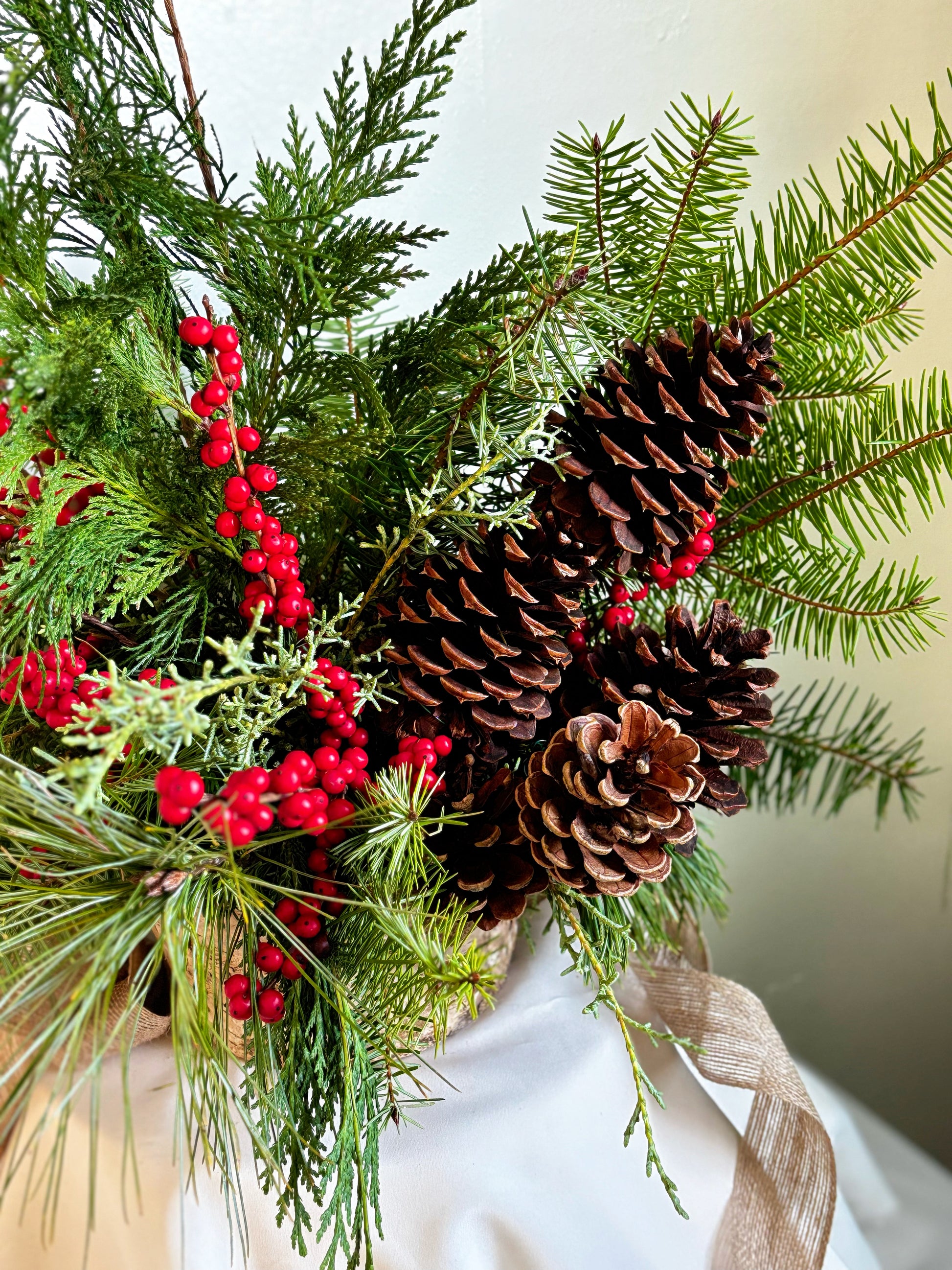 The Holiday Birchwood