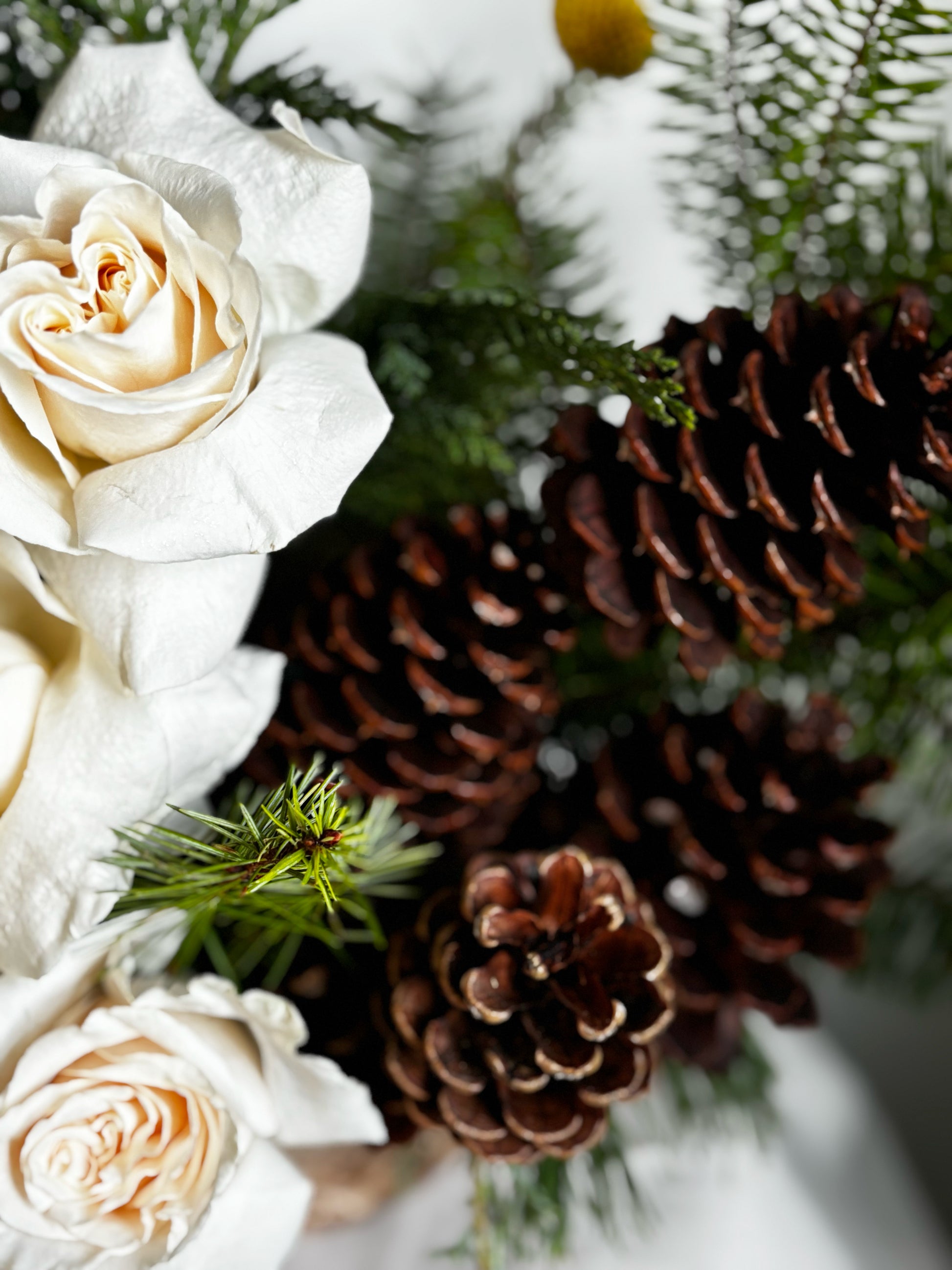 The Luxe Holiday Birchwood