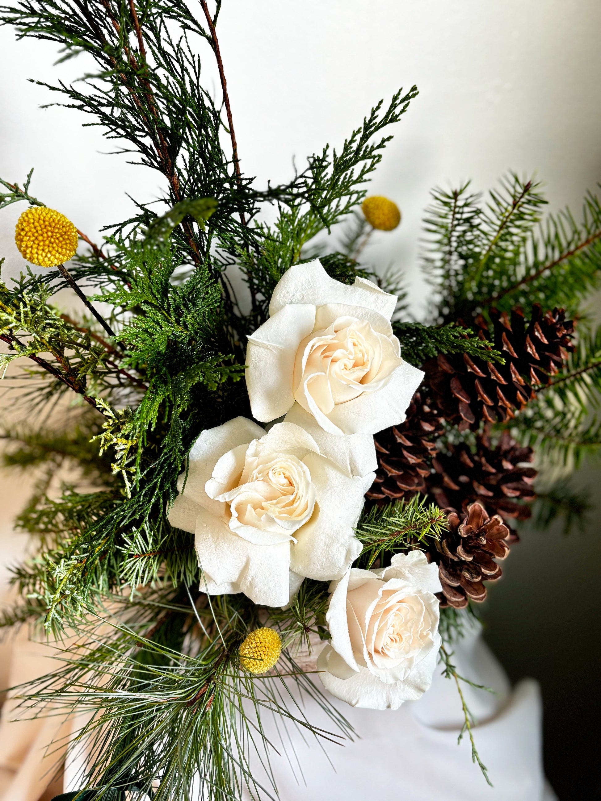 The Luxe Holiday Birchwood