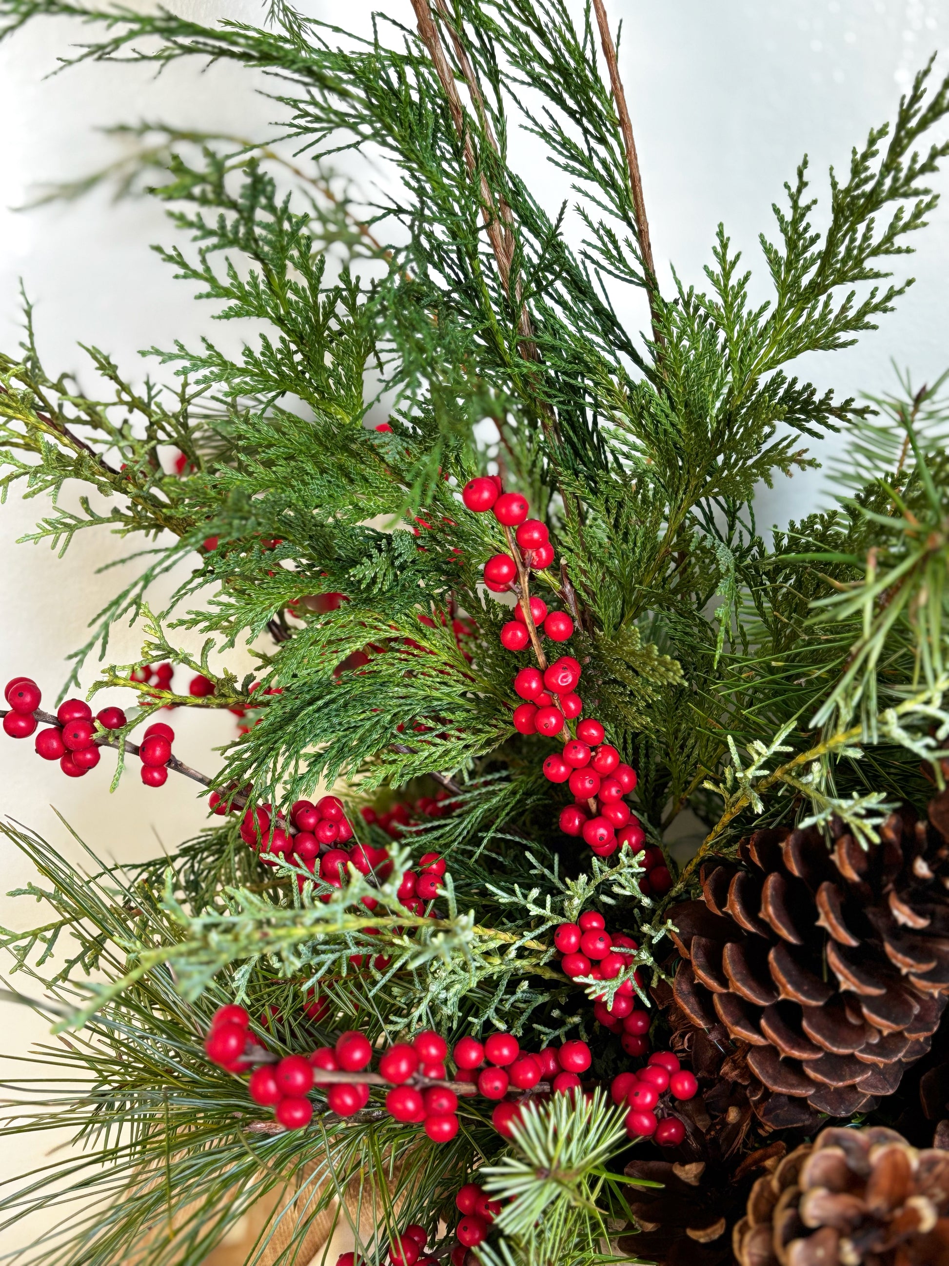 The Holiday Birchwood