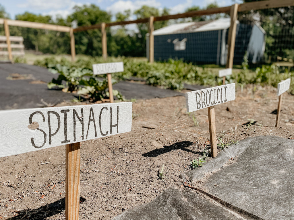 Rustic wooden garden signs labeling spinach and broccoli in an organic vegetable bed