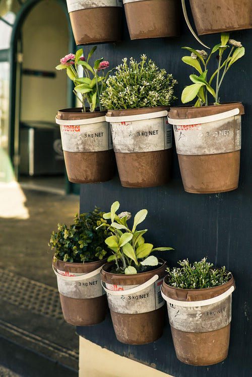 The Food Garden Planning Guide